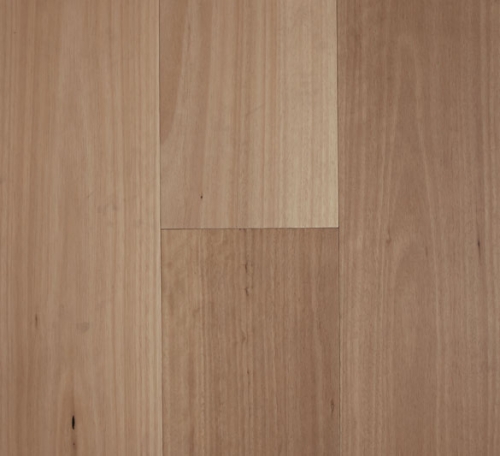 Blackbutt – Smooth Matte, 3mm