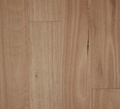 Blackbutt, Smooth Semi-Gloss, 0.6mm