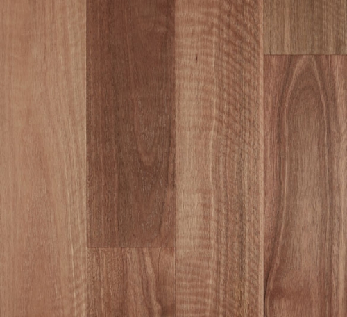 Spotted Gum – Brushed Matte, 0.6mm