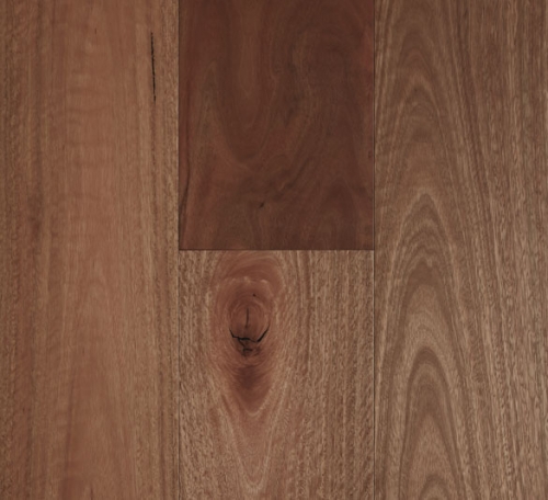 Spotted Gum – Smooth Matte, 3mm