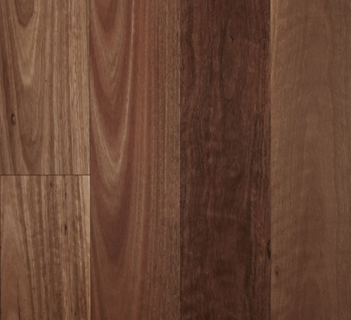 Spotted Gum – Smooth Semi-Gloss, 0.6mm